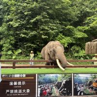 評論圖片 6