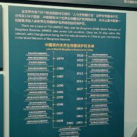 評論圖片 5