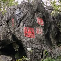 評論圖片 2