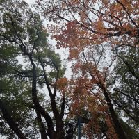 評論圖片 9