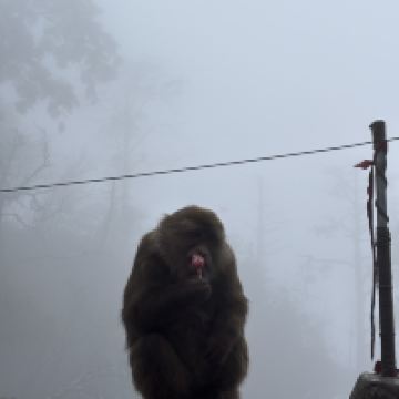 評論圖片 1