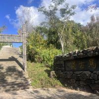 評論圖片 9