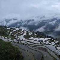 評論圖片 2