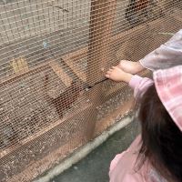 評論圖片 9