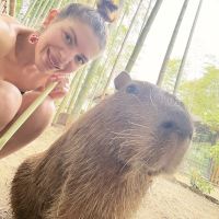 評論圖片 3