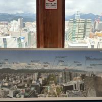 評論圖片 1
