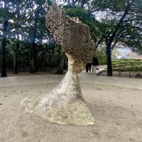 評論圖片 2