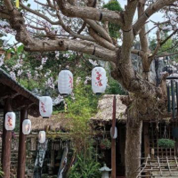 評論圖片 6