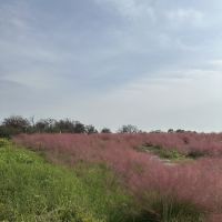 評論圖片 6