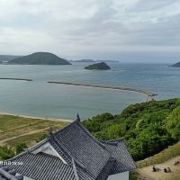 評論圖片 2