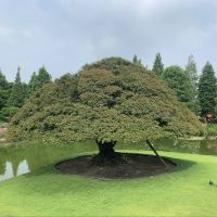 評論圖片 8