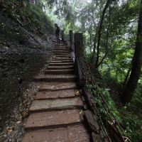 評論圖片 2