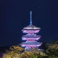 評論圖片 9