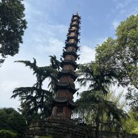 評論圖片 5