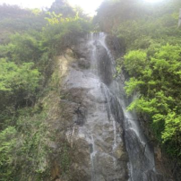 評論圖片 8
