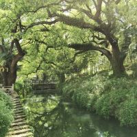 評論圖片 7