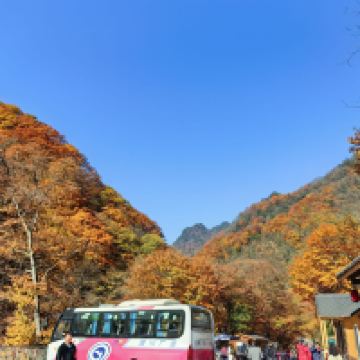 評論圖片 1