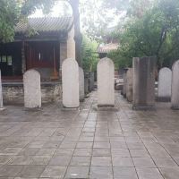 評論圖片 4