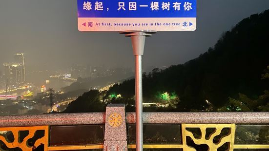 南山一棵樹觀景台每到夜晚來臨，看夜景的人朝就會越來越多，沿著