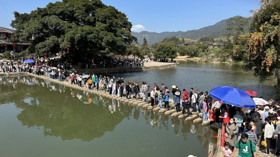 千年大榕樹竟然有十幾顆，令人稱奇，水天一色，小橋流水人家，非