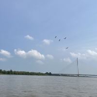 評論圖片 7
