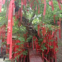 評論圖片 4