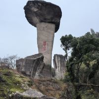 評論圖片 1