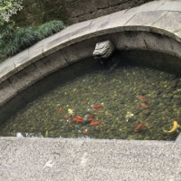 評論圖片 6