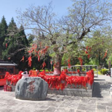 評論圖片 8
