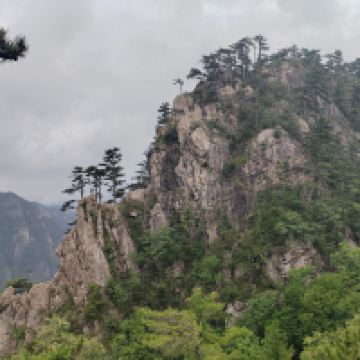 評論圖片 9
