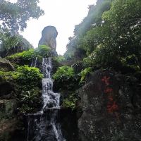 評論圖片 6
