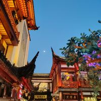 評論圖片 6
