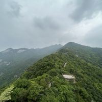 評論圖片 6