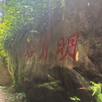 評論圖片 1
