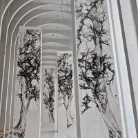 評論圖片 5