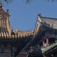 評論圖片 6