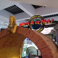 評論圖片 2
