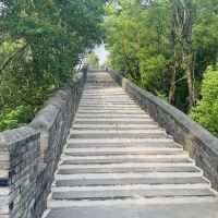 評論圖片 5