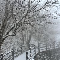 評論圖片 3