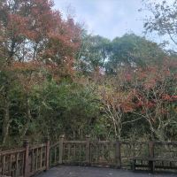 評論圖片 5