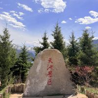 評論圖片 4
