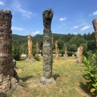 評論圖片 4