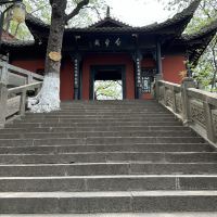 評論圖片 5