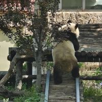 評論圖片 2
