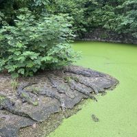評論圖片 3