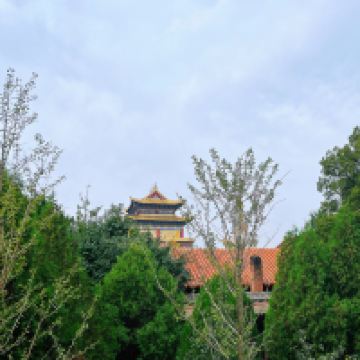 評論圖片 3