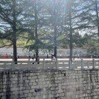 評論圖片 3