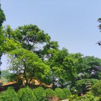 評論圖片 5