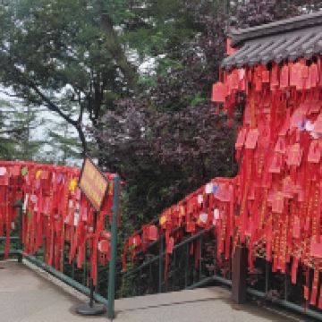 評論圖片 1
