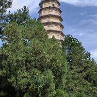 評論圖片 5